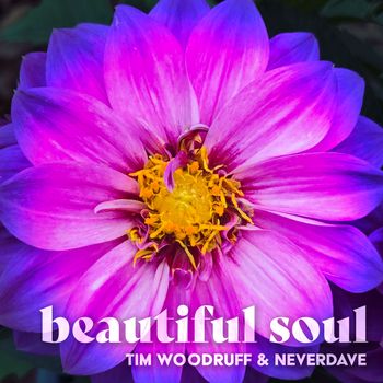 Beautiful Soul (feat. NeverDave) - Tim Woodruff