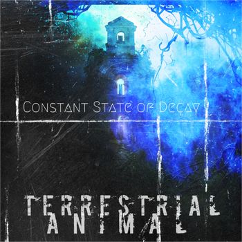 Saṃsāra - Terrestrial Animal