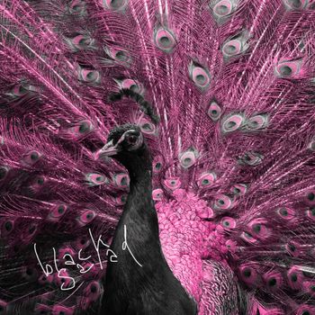 black salad - kaminski