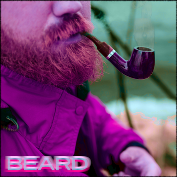 Beard - Stop Sleeping